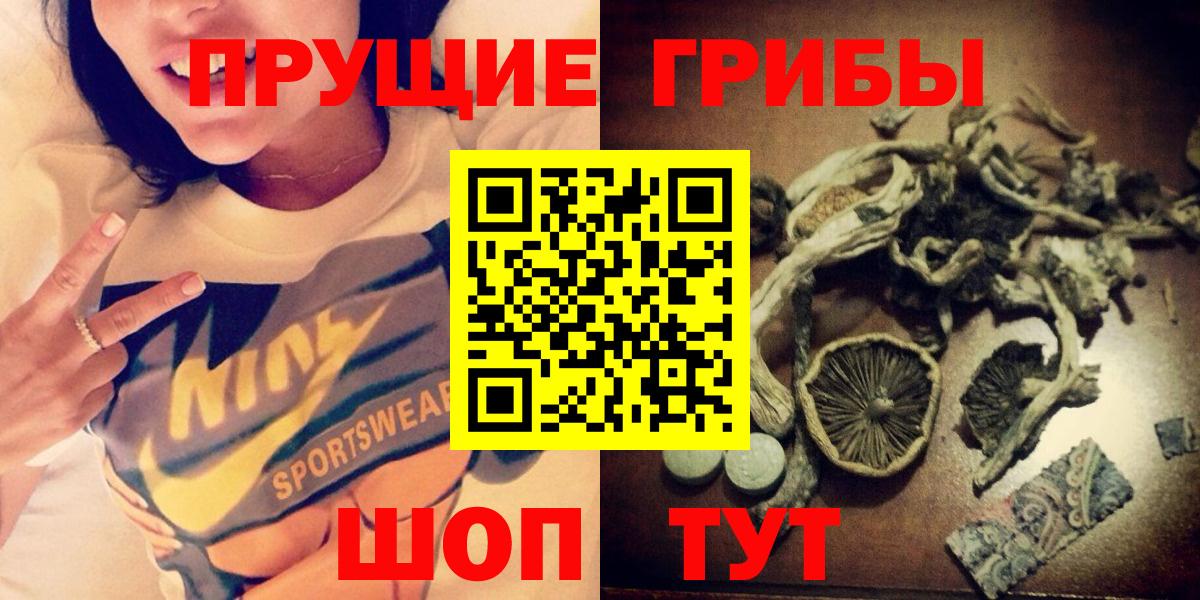 Галлюциногенные грибы Psilocybine cubensis Тобольск