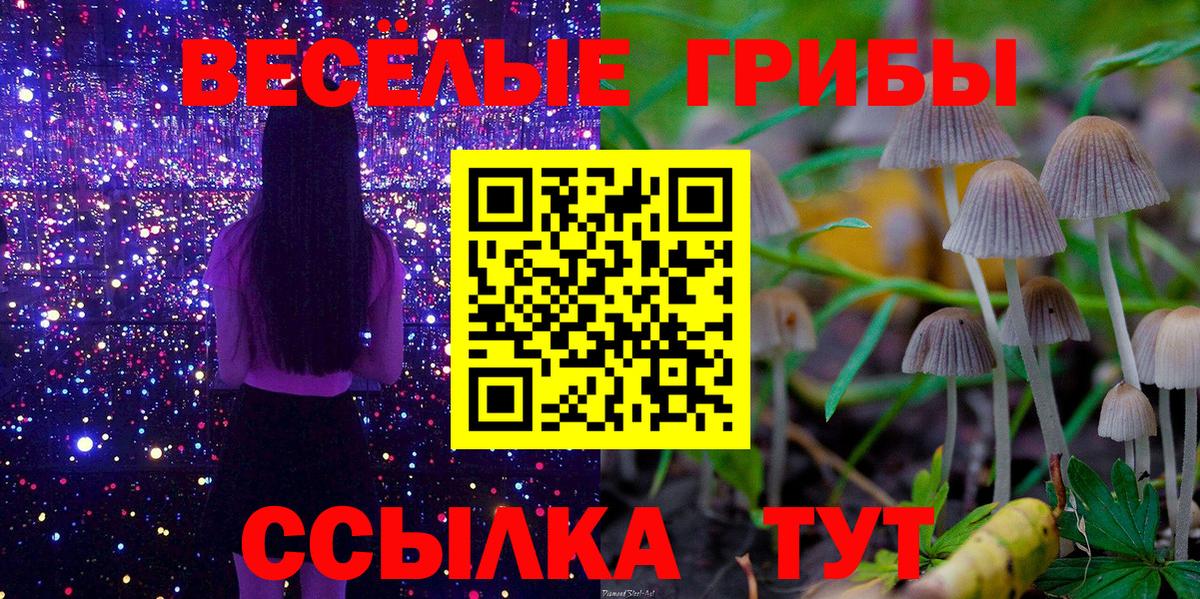 Галлюциногенные грибы MAGIC MUSHROOMS  Вход с VPN  Галлюциногенные грибы мухоморы  Тобольск 