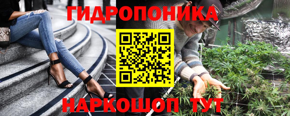 Бошки марихуана тримм  Вход с VPN  Тобольск  Марихуана AK-47  Шишки марихуана LSD WEED 